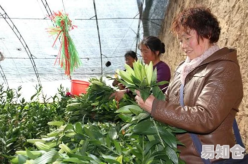 桃花族性世界：在这个多元化的社会中，桃花族为我们展示了爱的不同可能