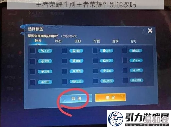 王者荣耀游戏内如何更改角色性别设置详细步骤指南